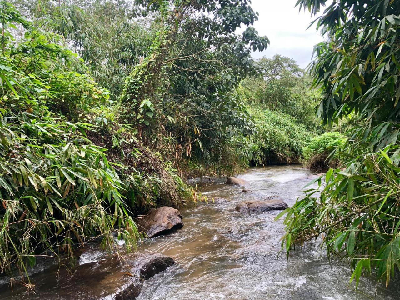Nutmeg Valley Idukki Exterior foto